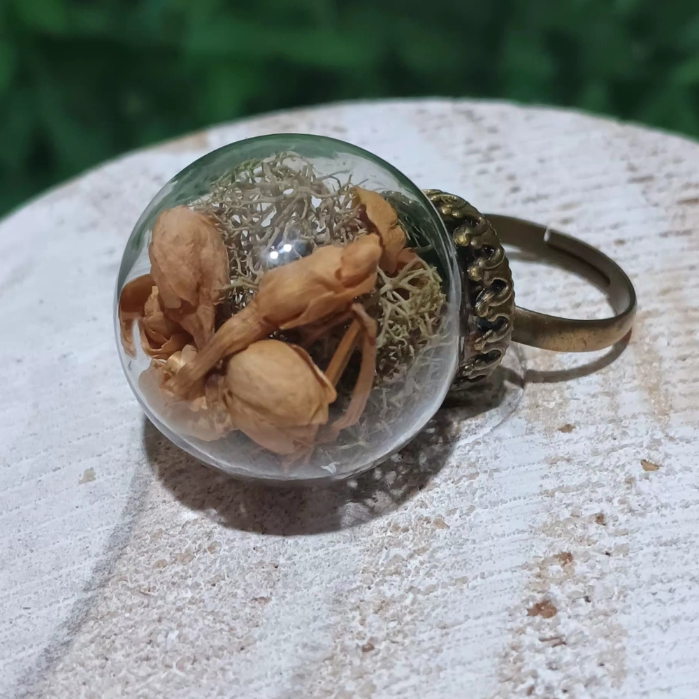 Moss Dried Flower Terrarium Ring